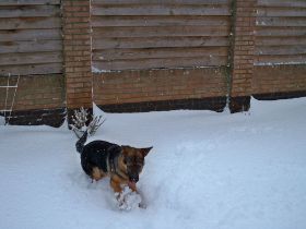 sneeuw 2009-2010 001.JPG